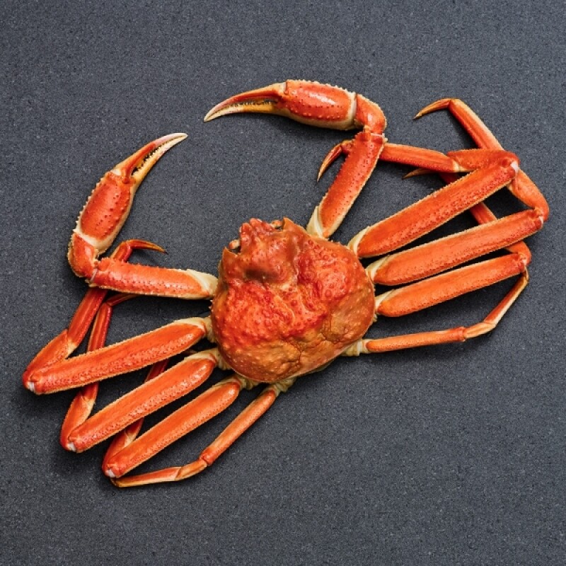 강원더몰,[크랩이츠] 직접 자숙한 러시아 대게 1/3/5kg (낱마리포장/HACCP시설 자숙) 스노우크랩/자숙대게/러시아대게/마가단대게