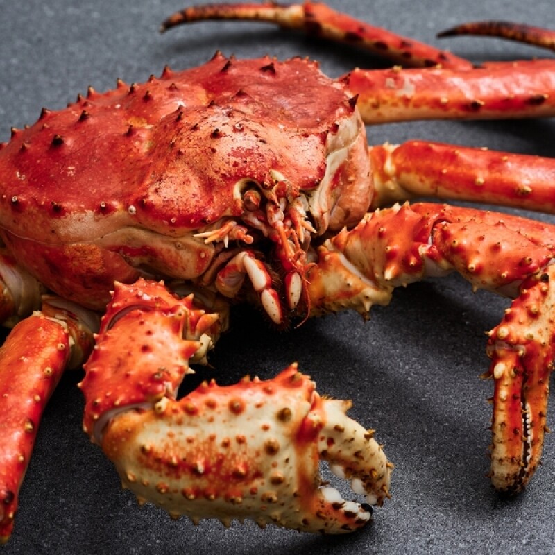 강원더몰,[크랩이츠] 자숙 러시아 킹크랩 BLUE 1미 (HACCP 시설 자숙)