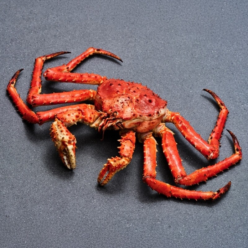 강원더몰,[크랩이츠] 자숙 러시아 킹크랩 BLUE 1미 (HACCP 시설 자숙)