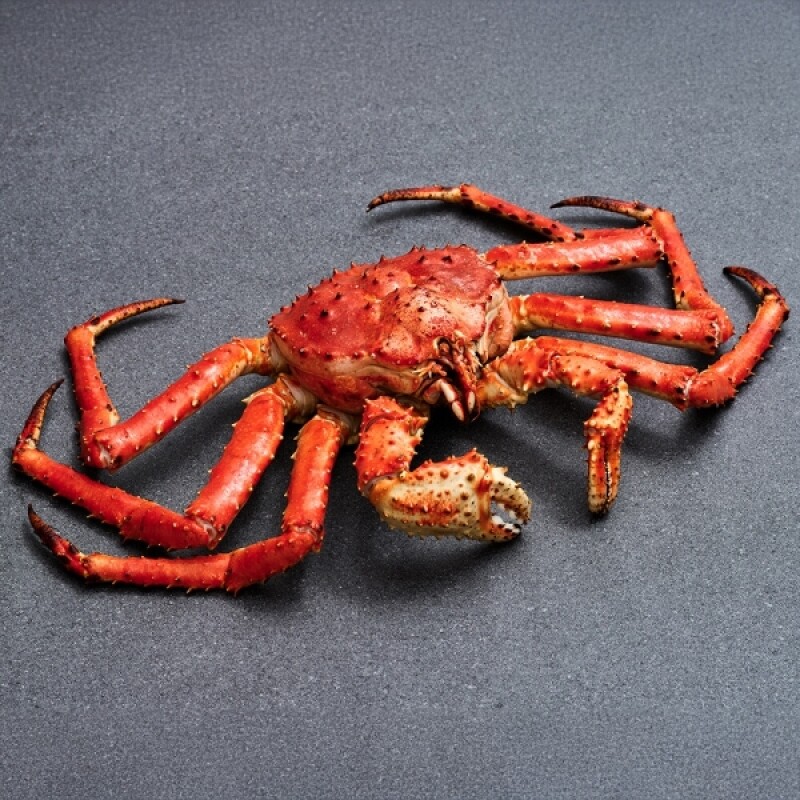 강원더몰,[크랩이츠] 자숙 러시아 킹크랩 BLUE 1미 (HACCP 시설 자숙)