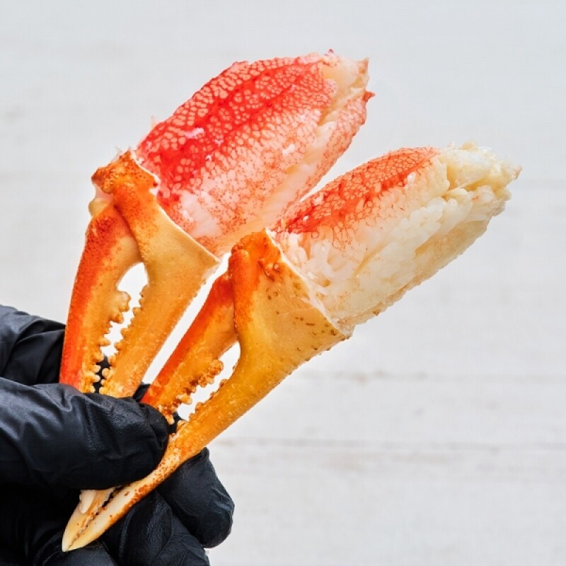 강원더몰,[크랩이츠] 러시아 대게 집게다리 모음 1kg (2개 이상 구매 시 개당 5,000원 할인/자체 HACCP 시설 가공)