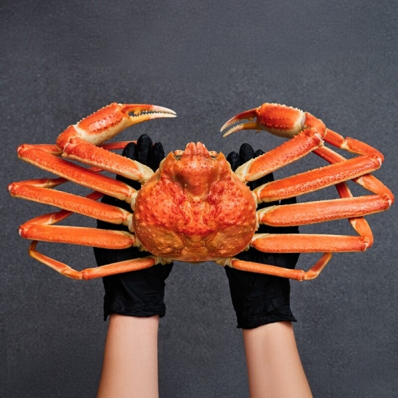 강원더몰,(크랩플릭스/명절선물세트) 스노우크랩 절단대게 섹션 5kg (3L/4L)